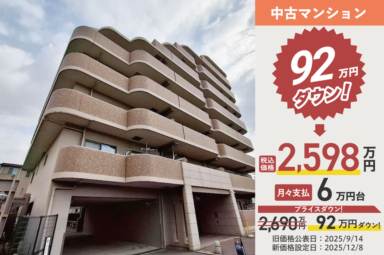 ディオ・フェルティ白鷺（H251）