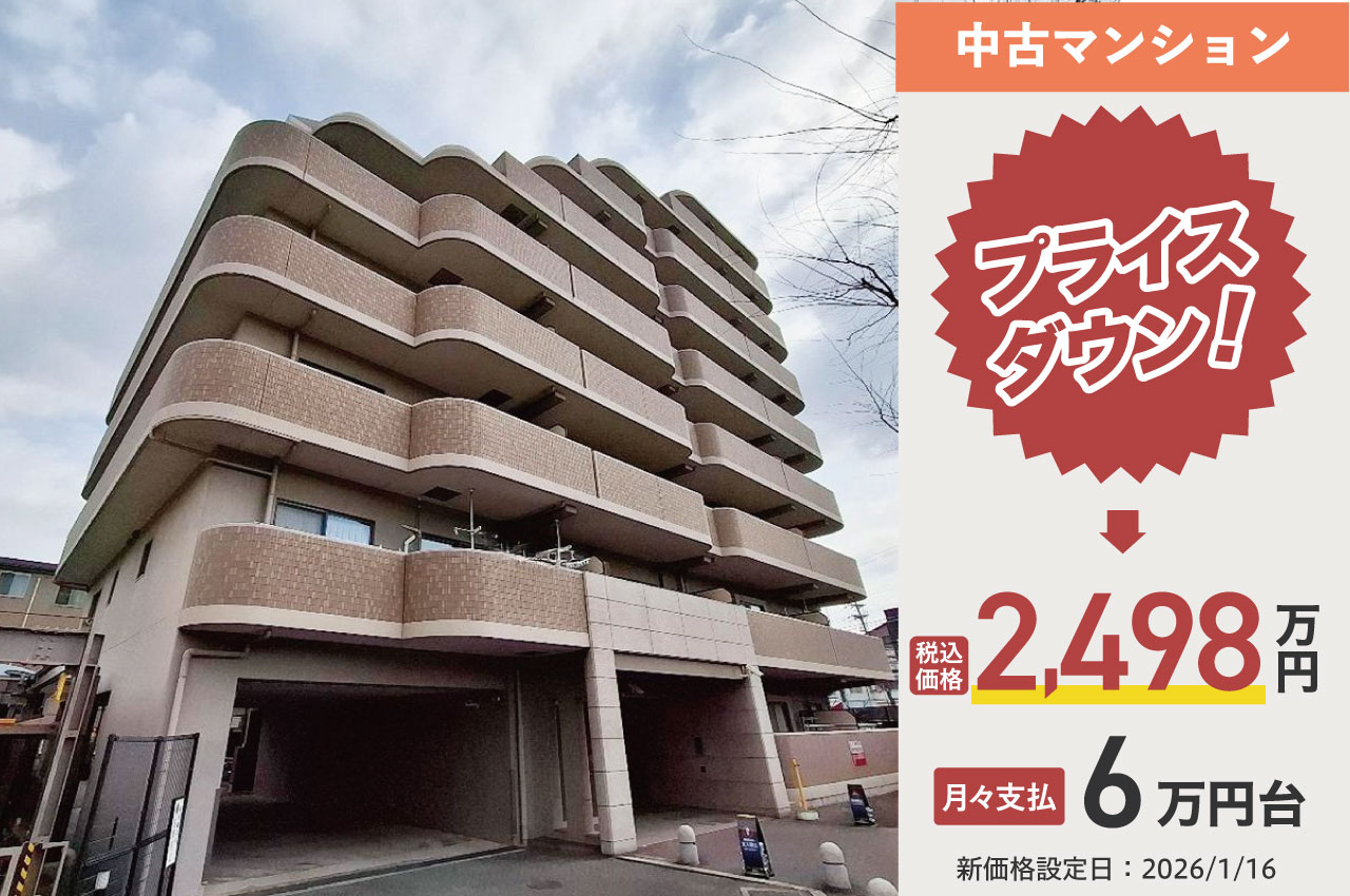 ディオ・フェルティ白鷺（H251）