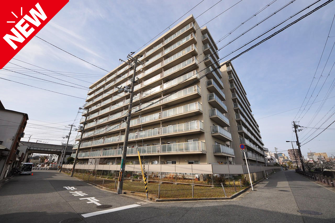 ファミール堺パート弐★リフォーム済みの3LDK！2面バルコニーの角部屋・10階建ての8階部分！生活便利な好立地！