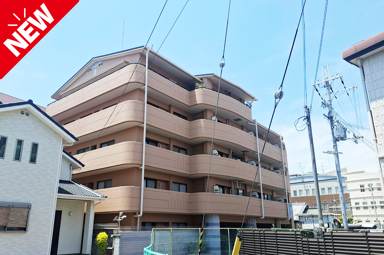 ふぁみーゆ藤井寺★近鉄南大阪線「藤井寺」駅・スーパー・小学校が徒歩10分以内！リフォーム済みの1SLDK！