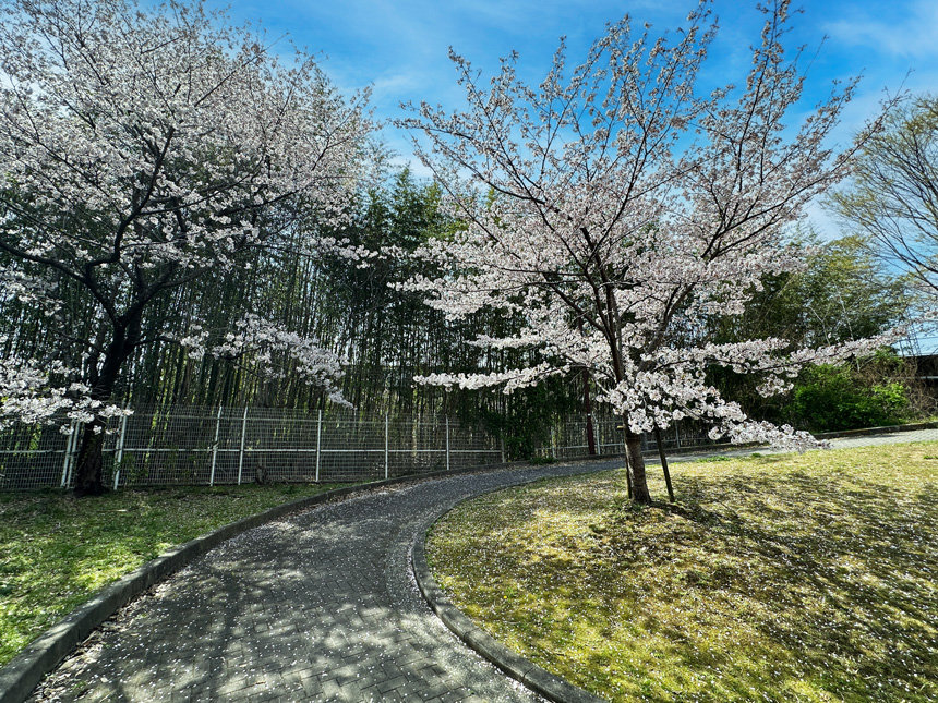 向野第2公園　徒歩1分