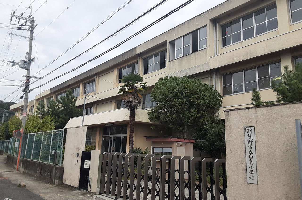 白鳥小学校(指定校)