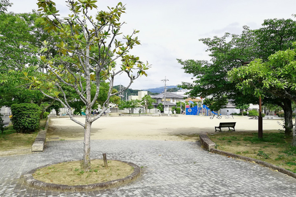 中村池公園　徒歩5分