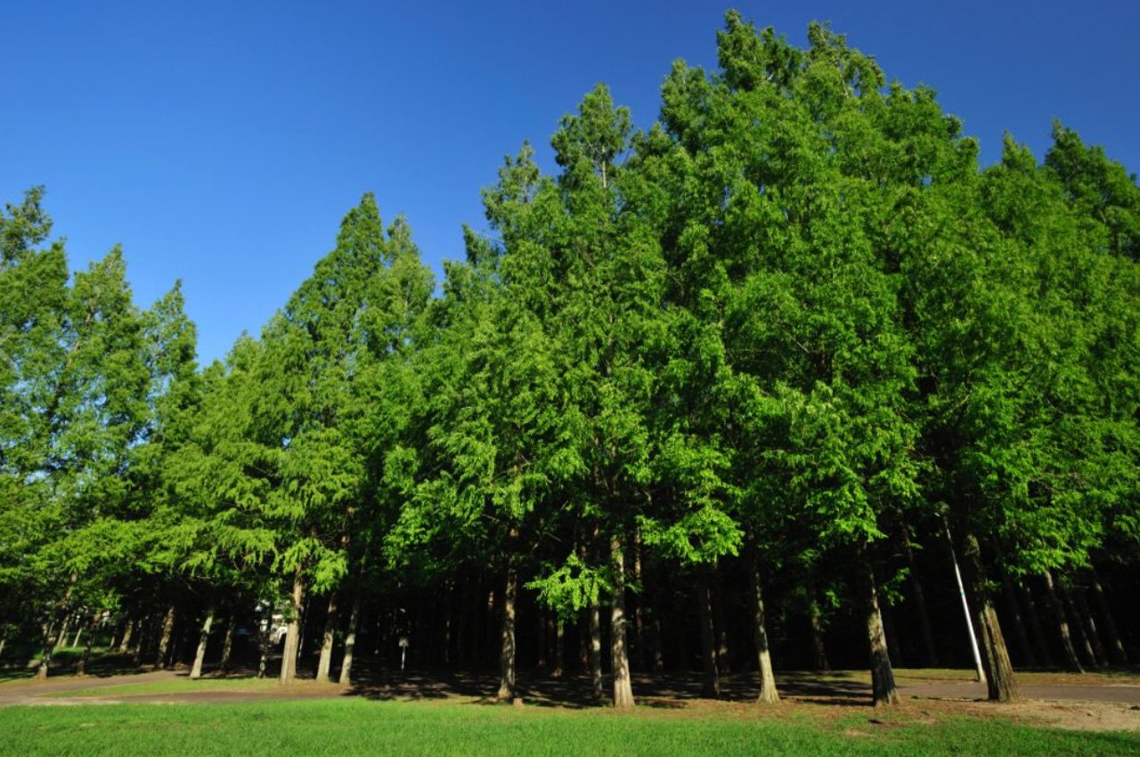 新檜尾公園