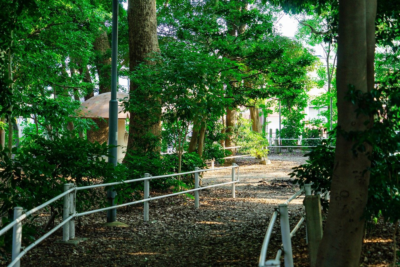 豊中公園