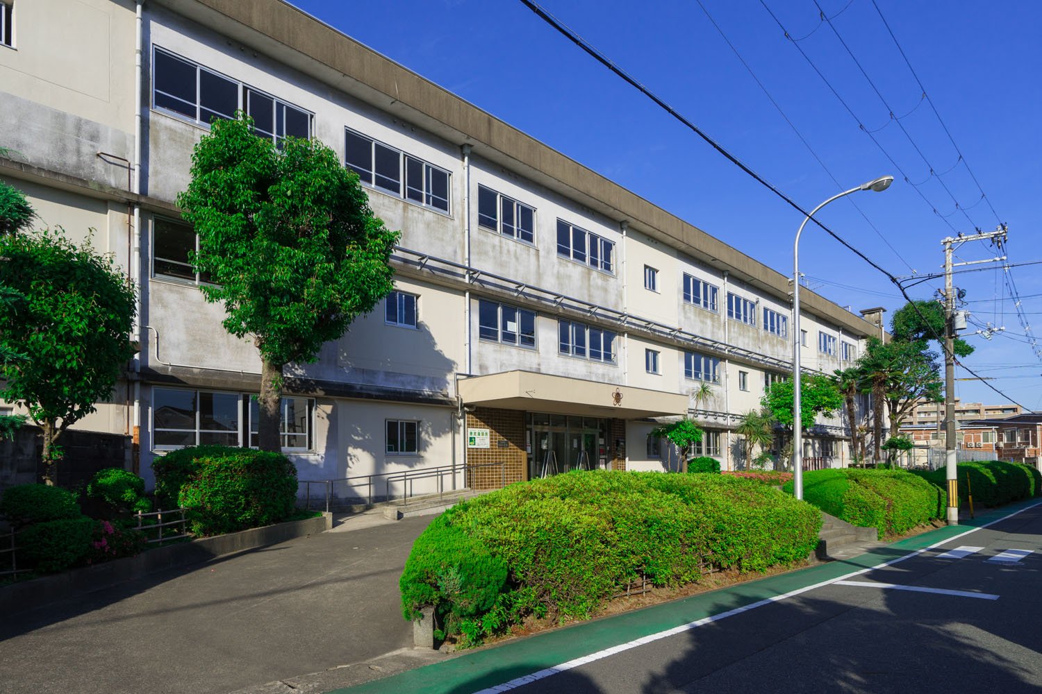 向丘小学校