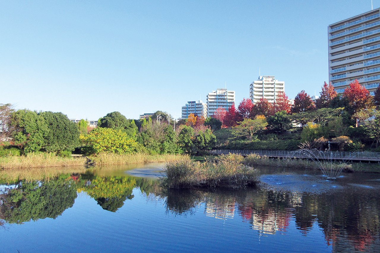 中央公園