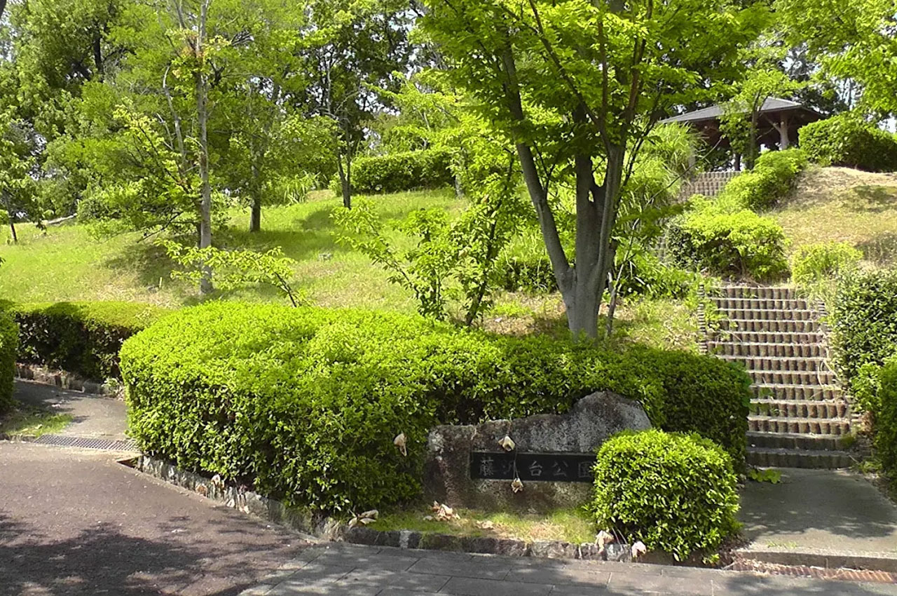 藤沢台公園