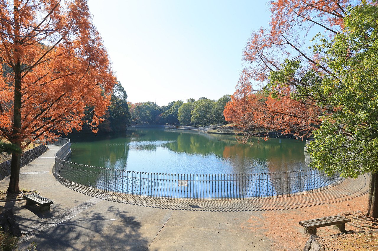 明治池公園