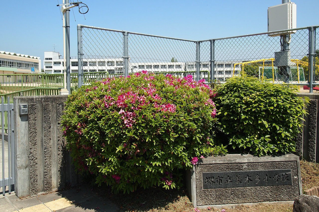 美木多小学校（指定校）