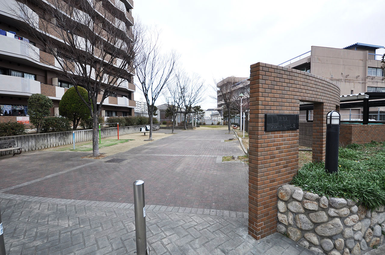 隣接公園(鳳南町ブルーベリー公園)