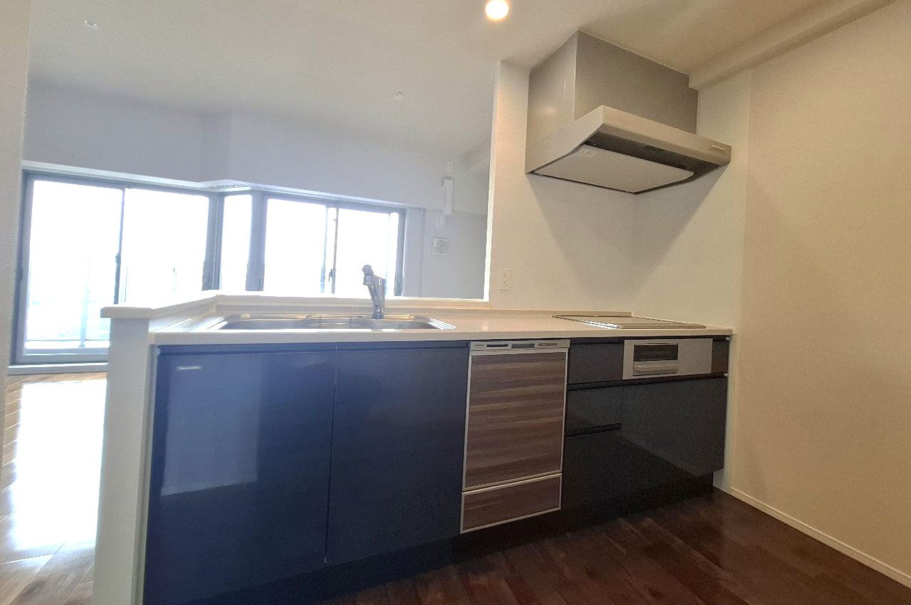 スタイリッシュなシステムキッチン、家事の時短にも役立つ食洗機付きです。