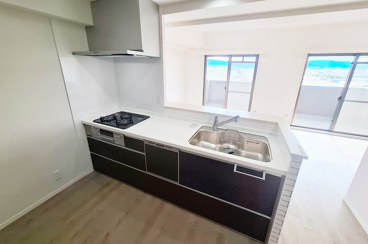 キッチン:食洗機・浄水器付きのシステムキッチンを新調済み。