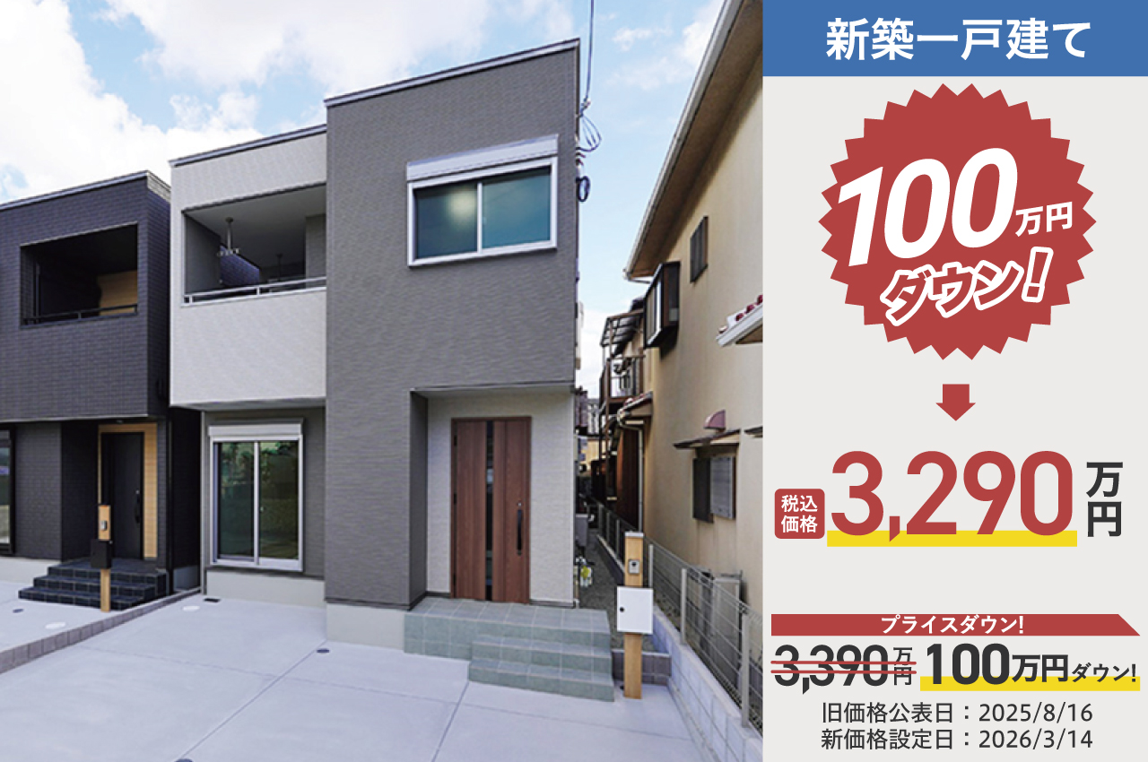 アイーナネオ泉大津助松町1号地