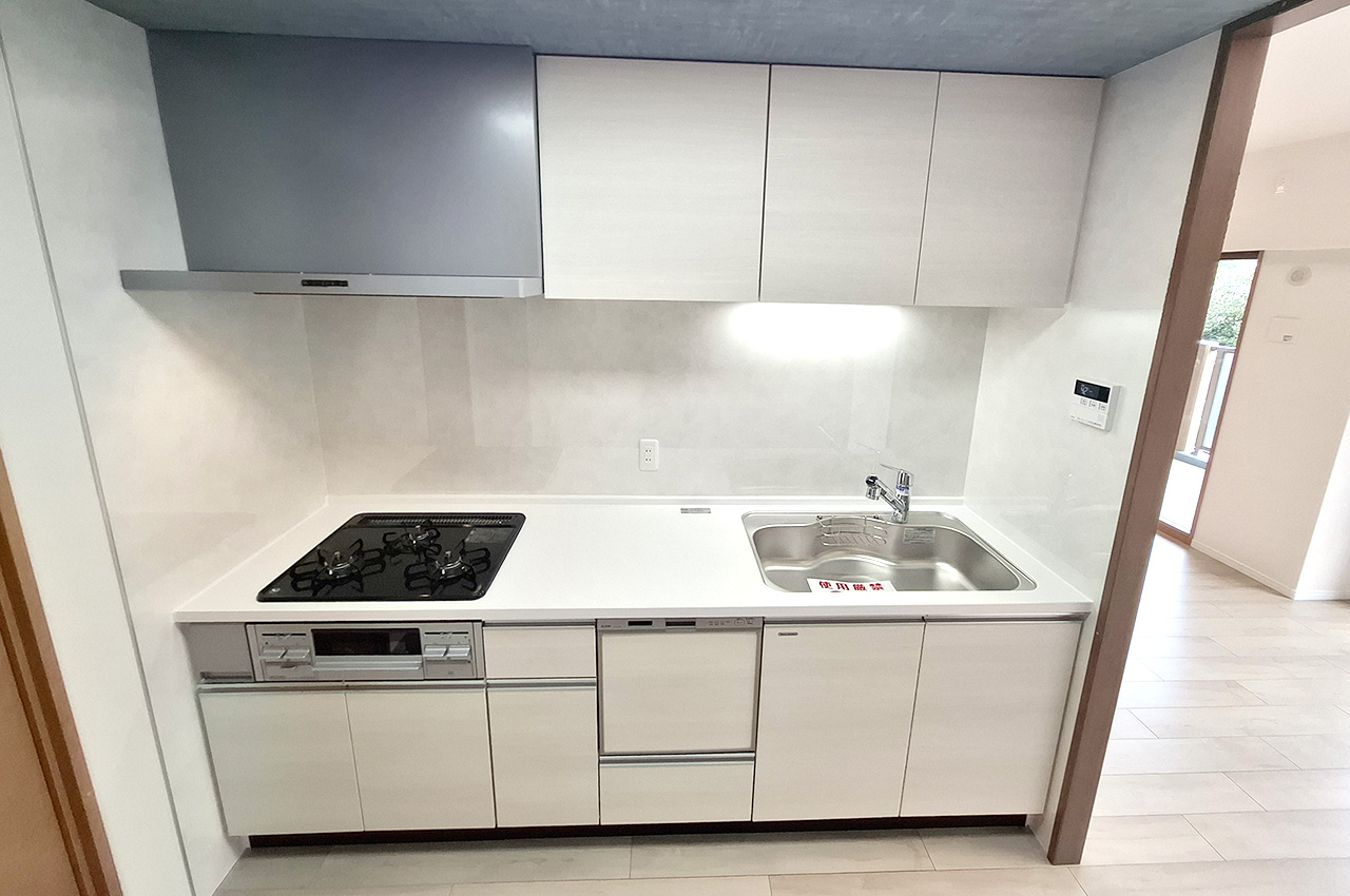 キッチン：食洗機付きシステムキッチンを新調済み。