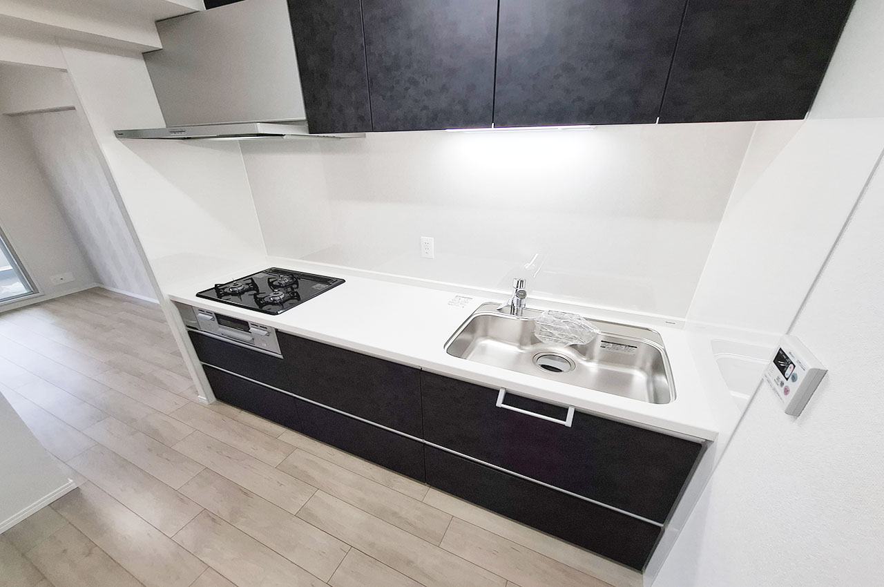 キッチン：新調済みのシステムキッチン、浄水機付き。