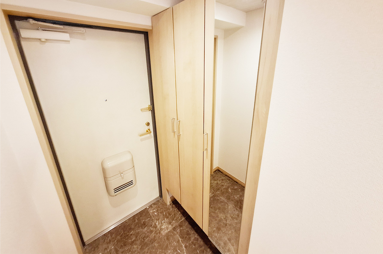 玄関：姿見付きの下駄箱を新調済み。