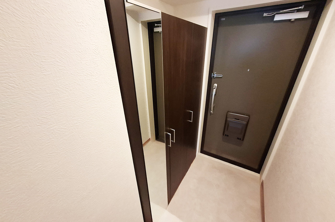 玄関：姿見付きの下駄箱を新調済み。