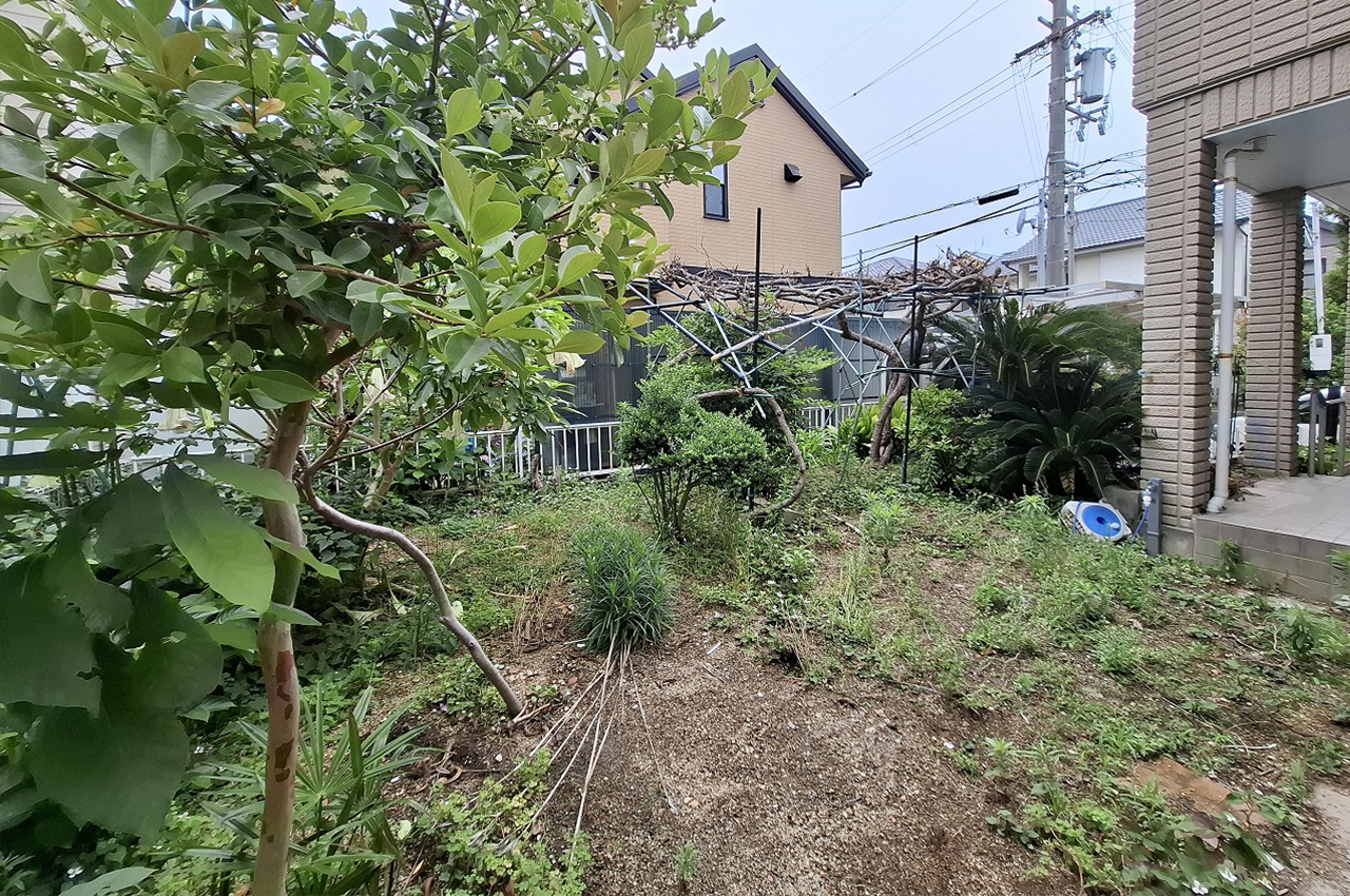 庭（植栽撤去前）